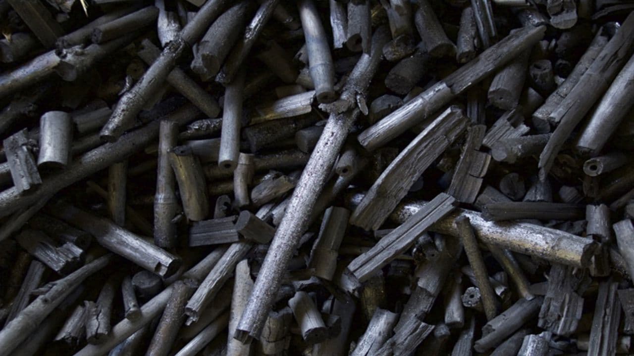 Charred bamboo after pyrolysis — split culms and hollow stem sections turned to black biochar